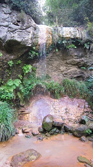 Cascata della Diosilla, Riserva parziale naturale Monterano