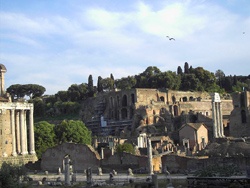 Il Palatino visto dal Foro Romano, Roma